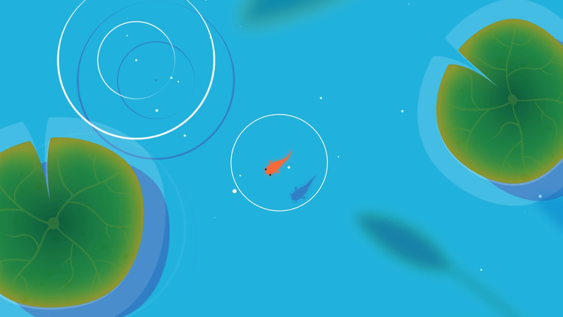 Koi screenshot 2