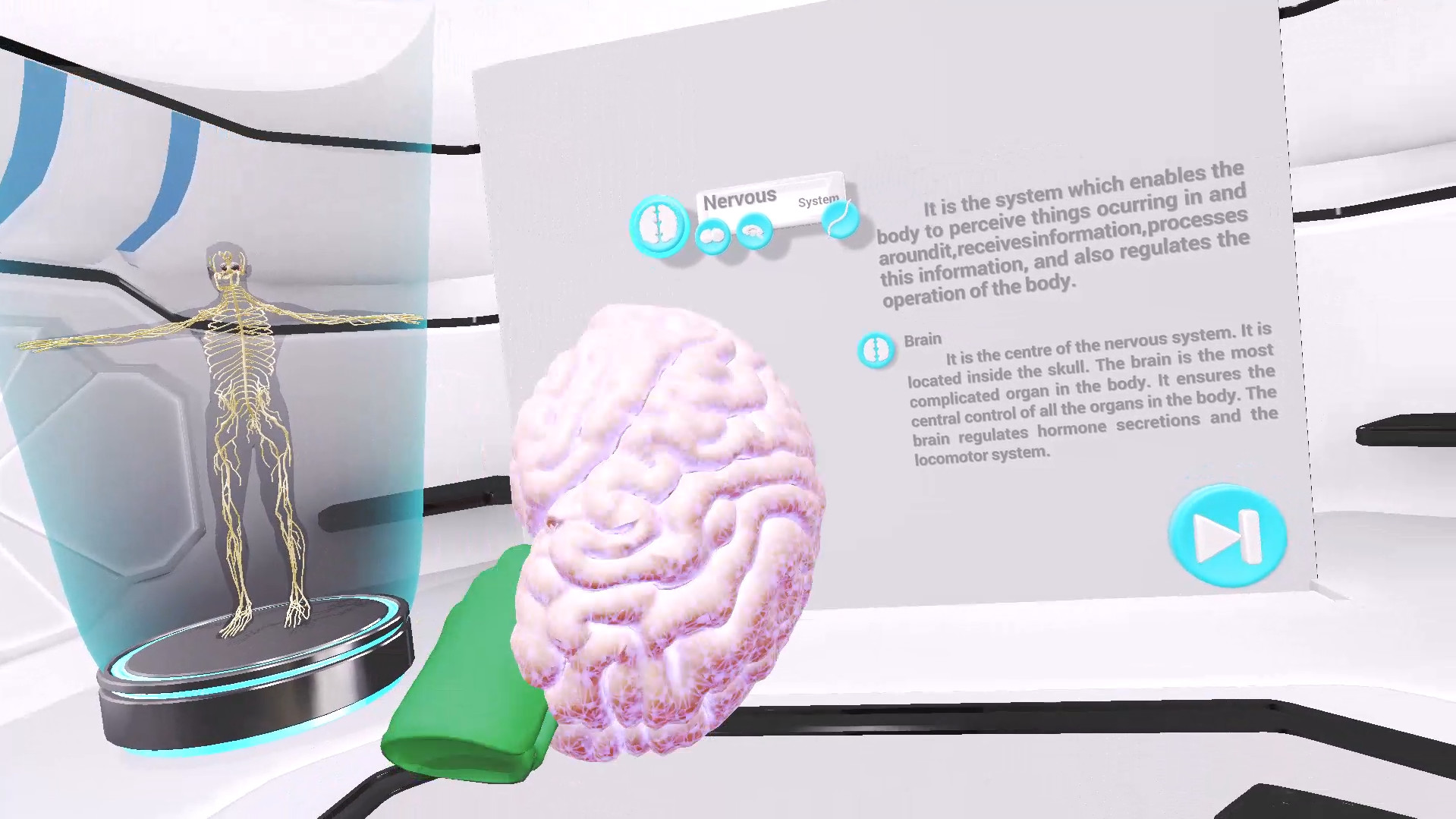VRLab Academy Anatomy VR screenshot 3