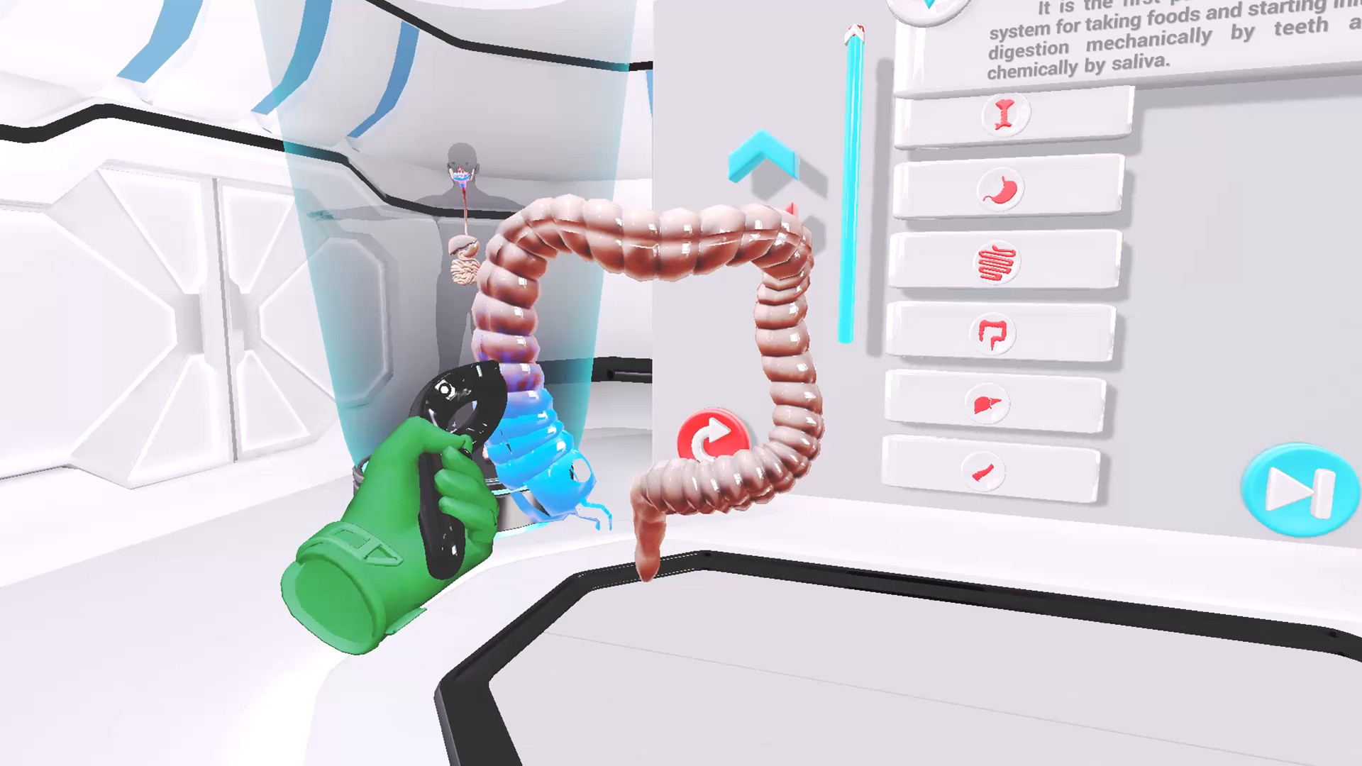 VRLab Academy Anatomy VR screenshot 4
