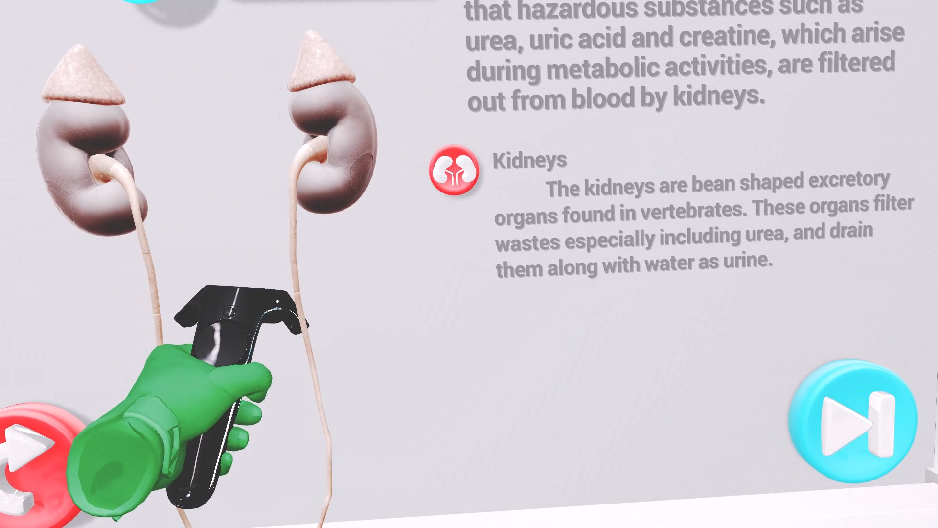 VRLab Academy Anatomy VR screenshot 5