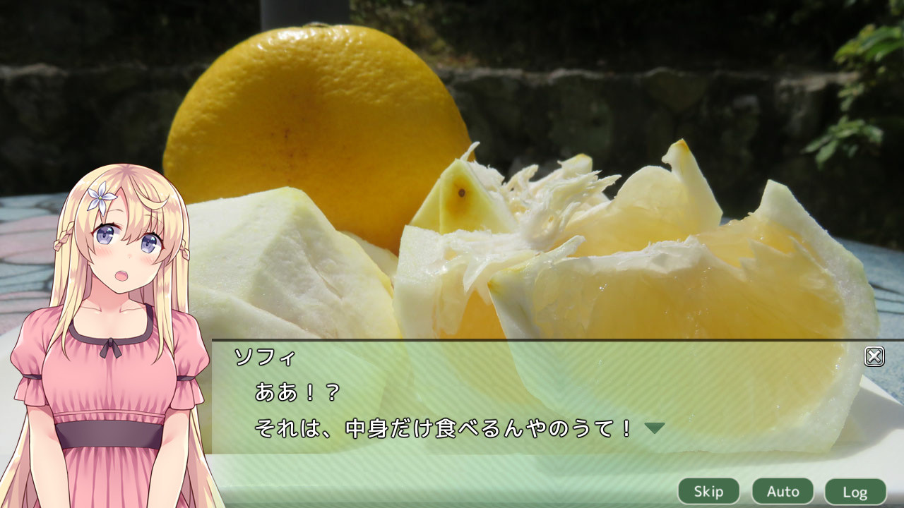 四国志でらっくす ~酒池肉うどん戦記~ screenshot 7