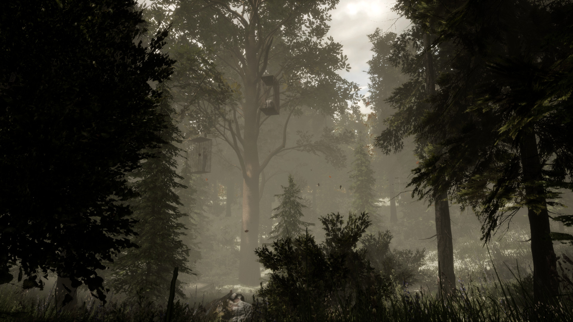 The Woods: VR Escape the Room screenshot 1