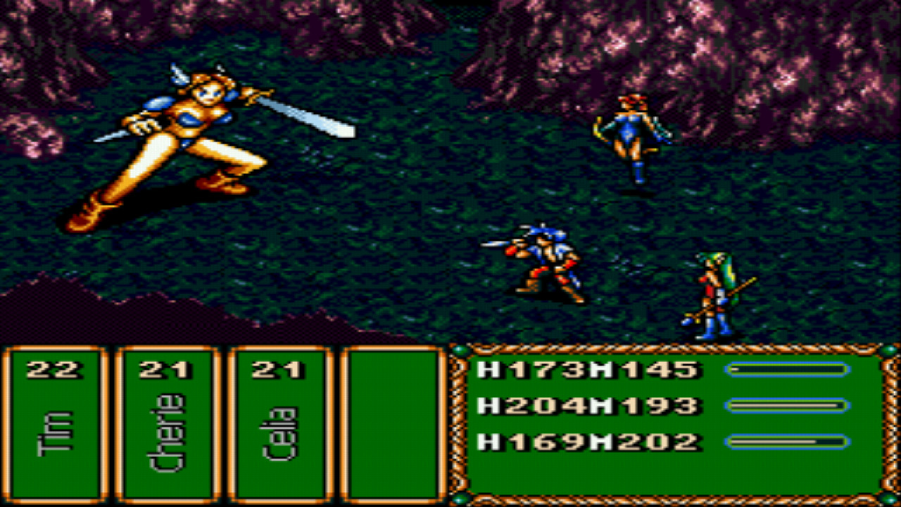 Brave Battle Saga - The Legend of The Magic Warrior screenshot 4