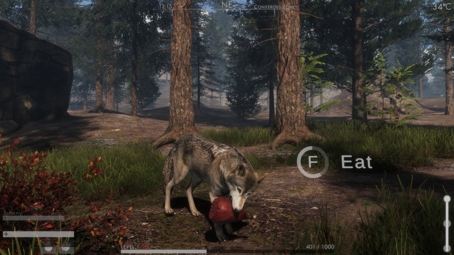 The WILDS screenshot 1