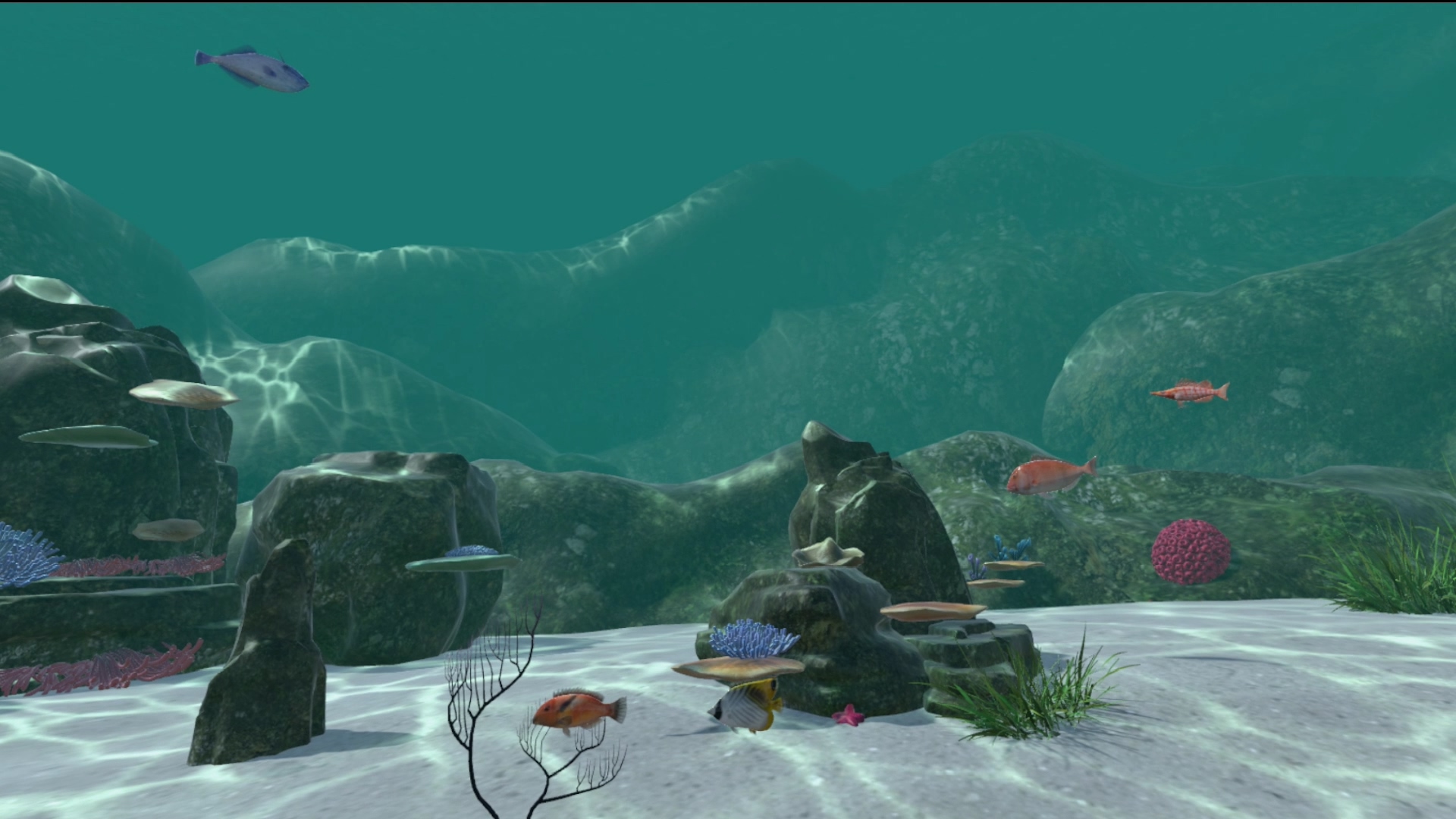Real Fishing VR screenshot 14