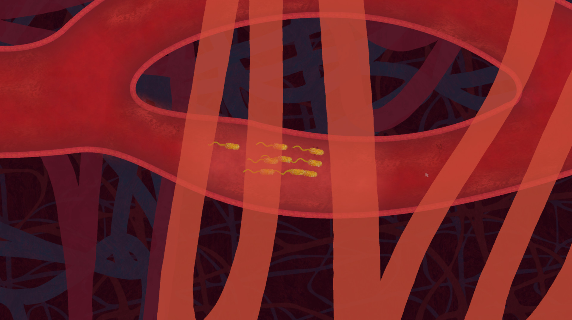 biorhythm screenshot 1