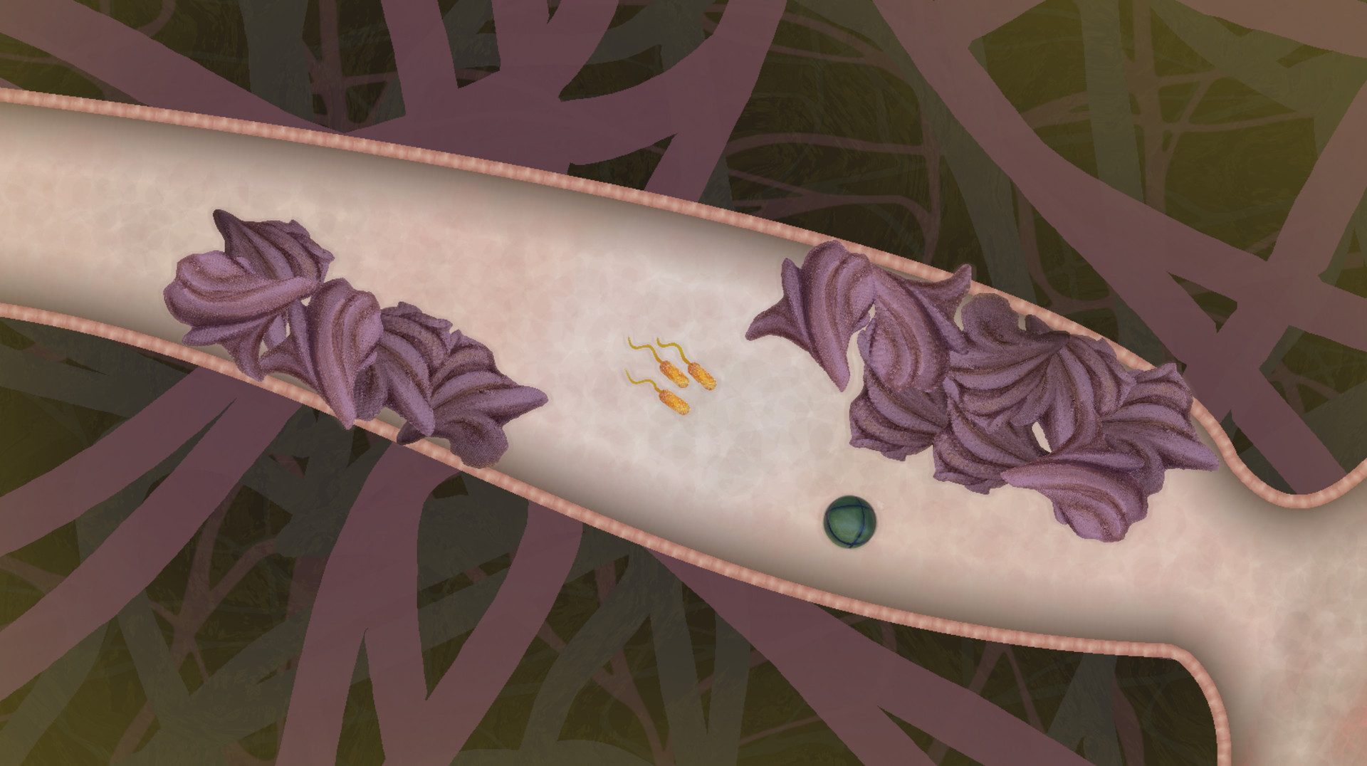 biorhythm screenshot 3