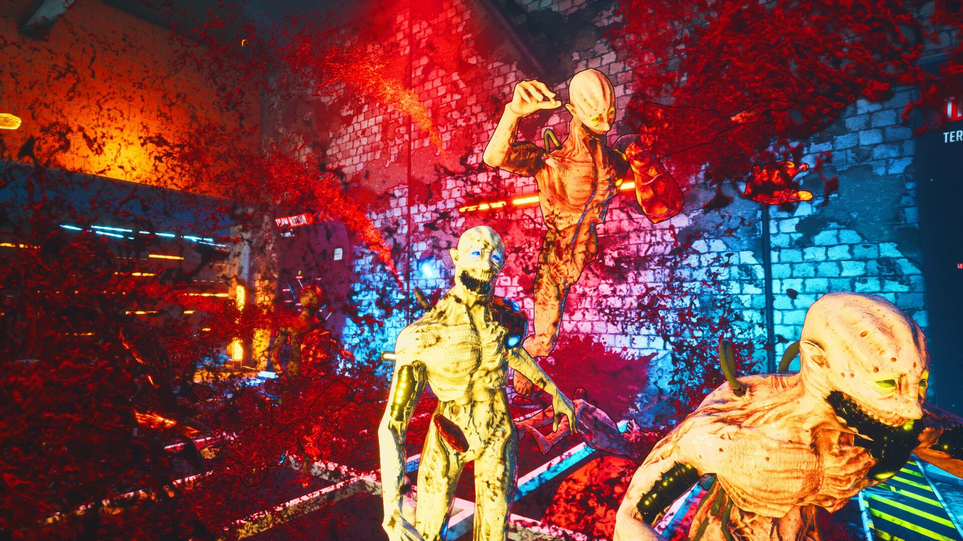 Zedfest screenshot 15