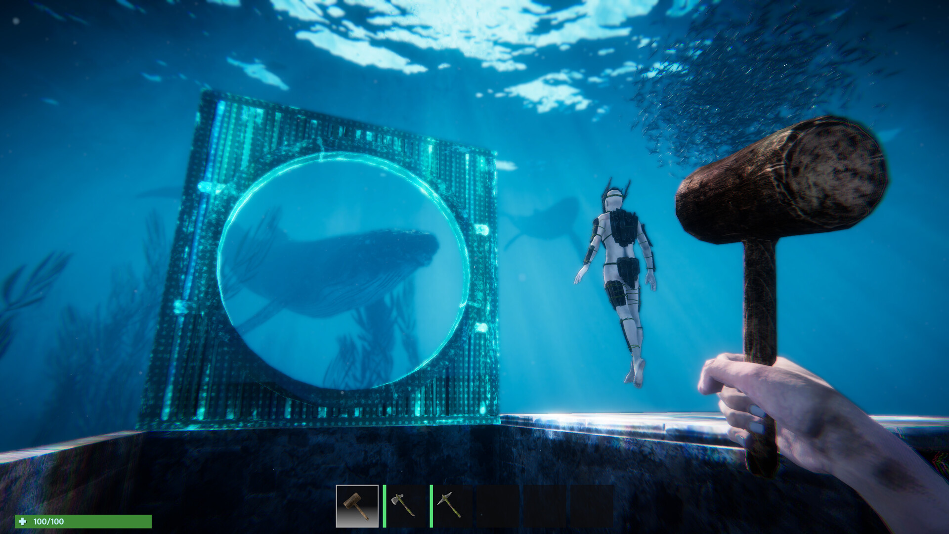 Anchor screenshot 3