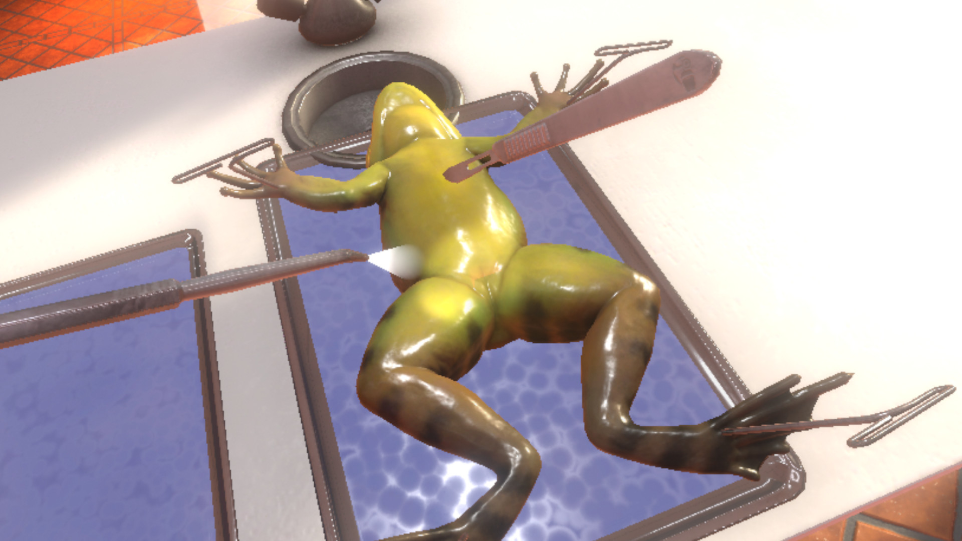 Dissection Simulator: Frog Edition screenshot 2