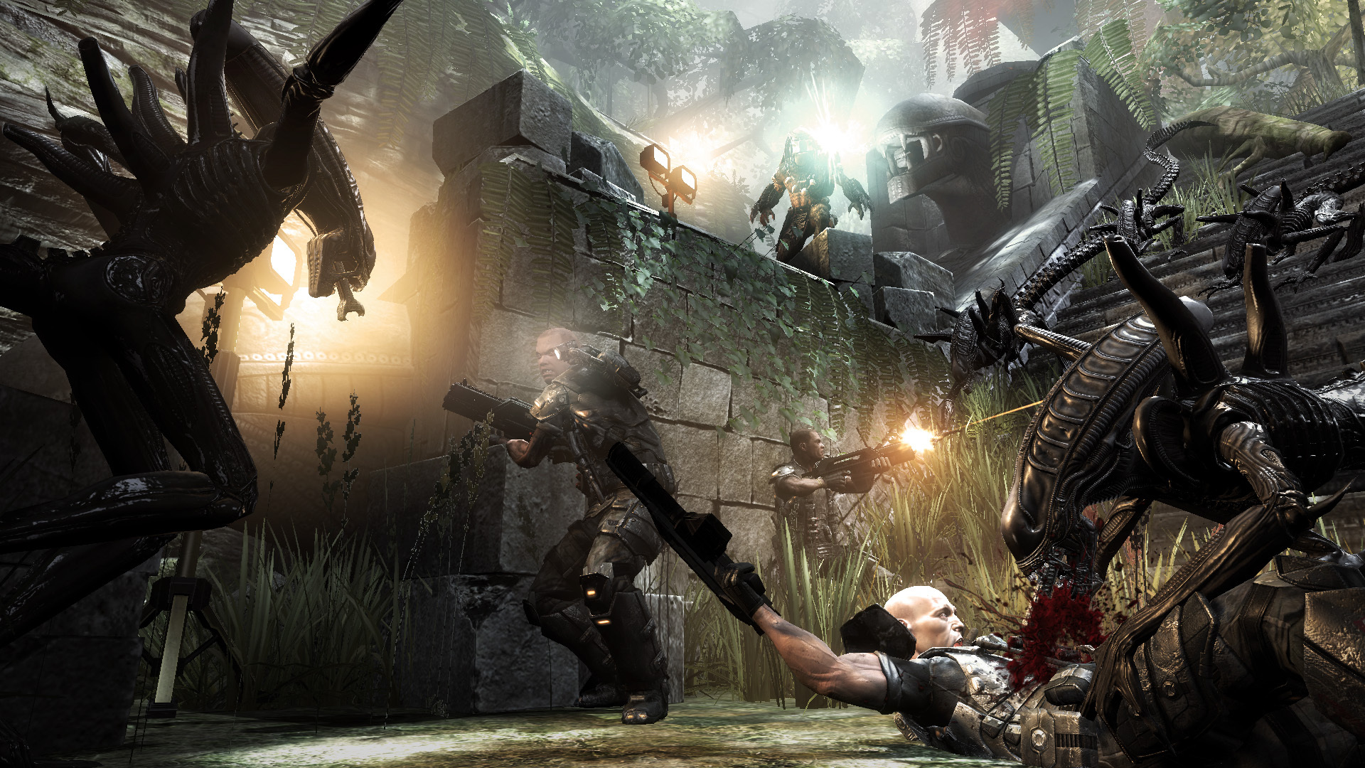 Aliens vs. Predator™ screenshot 5