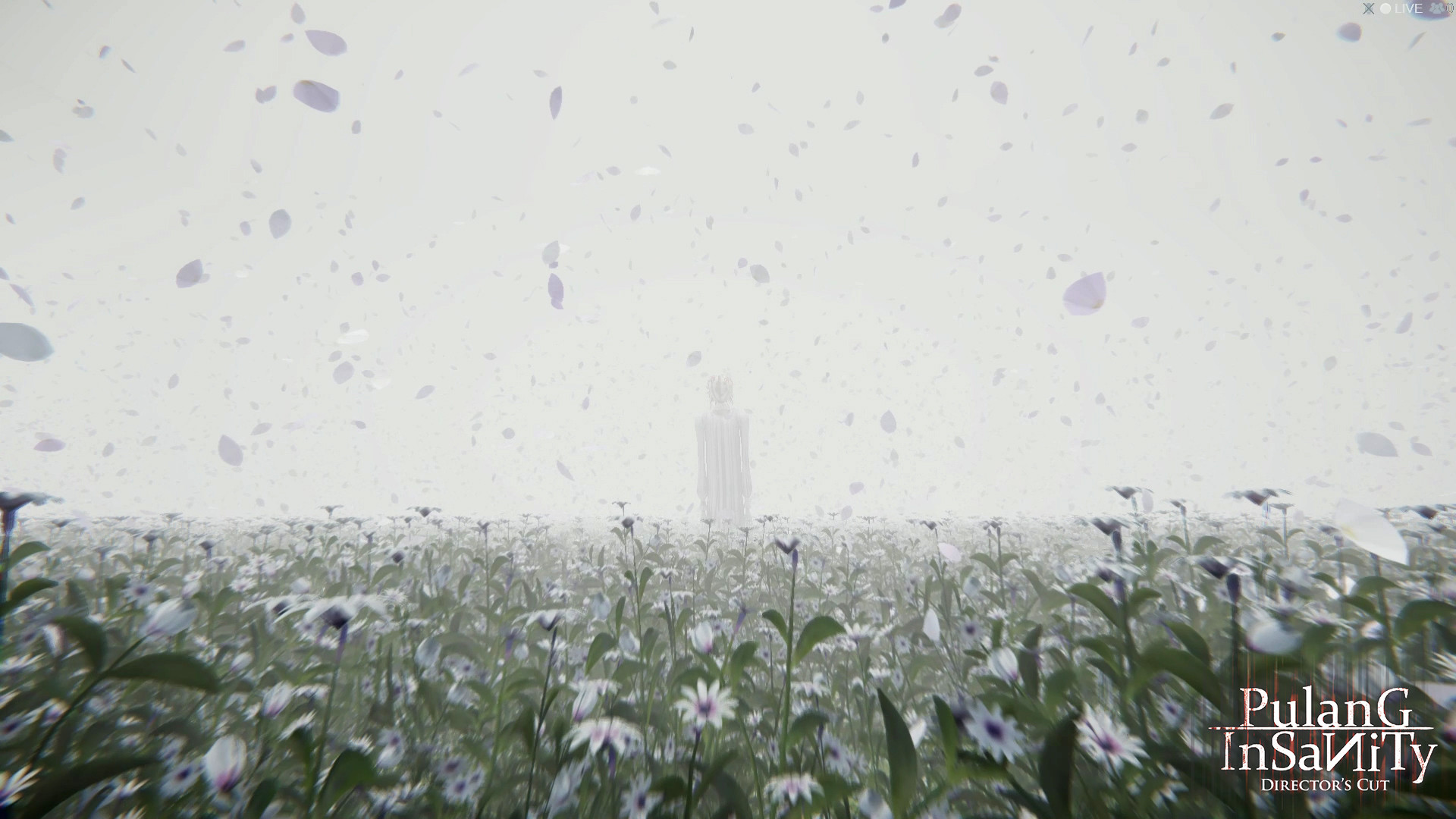 Pulang Insanity - Director's Cut screenshot 9