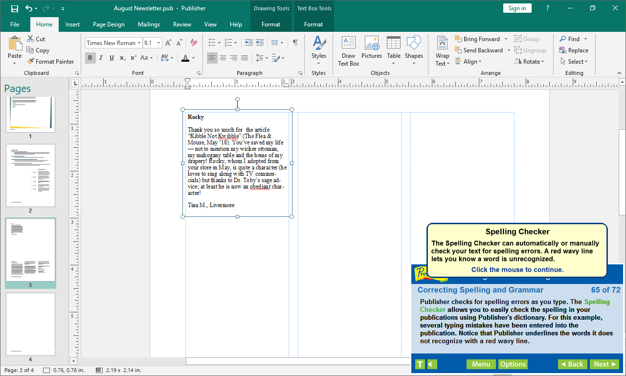 Professor Teaches Publisher 2019 screenshot 2