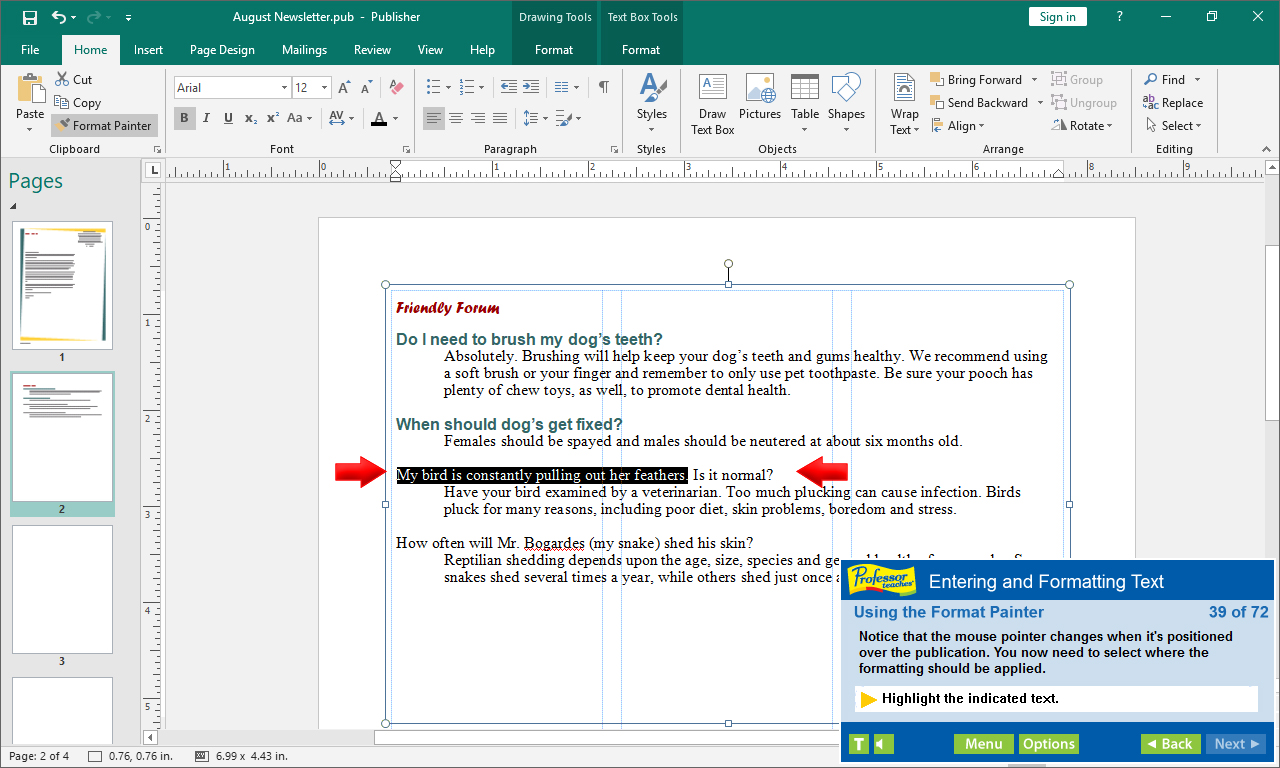 Professor Teaches Publisher 2019 screenshot 3