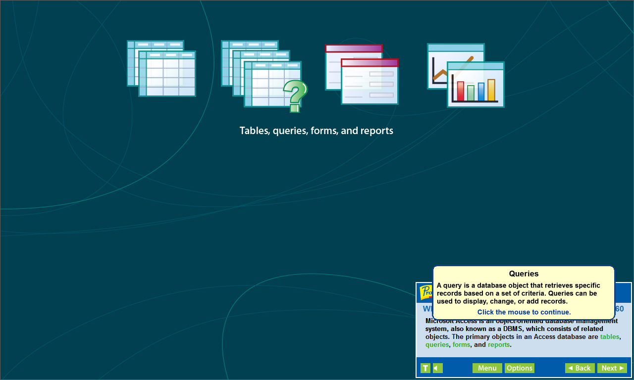 Professor Teaches Access 2019 screenshot 5