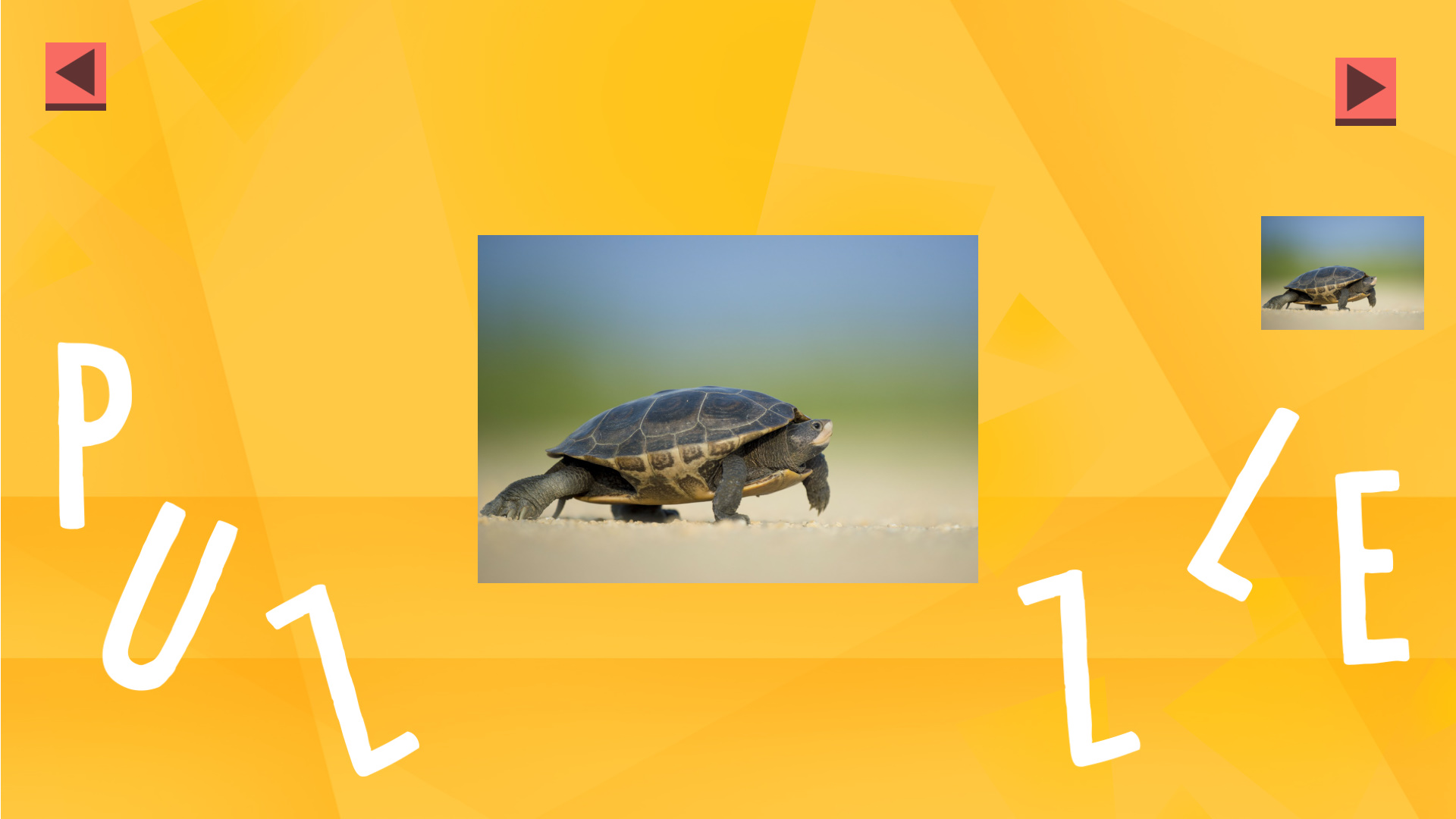 Game Of Puzzles: Animals screenshot 1