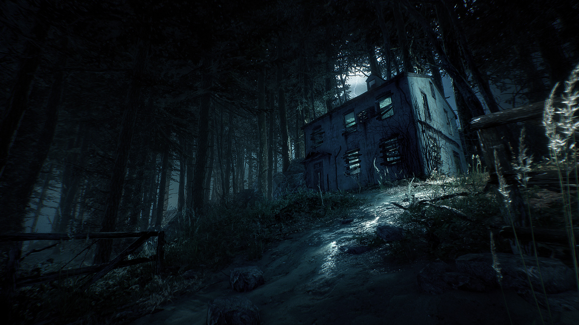 Blair Witch screenshot 6