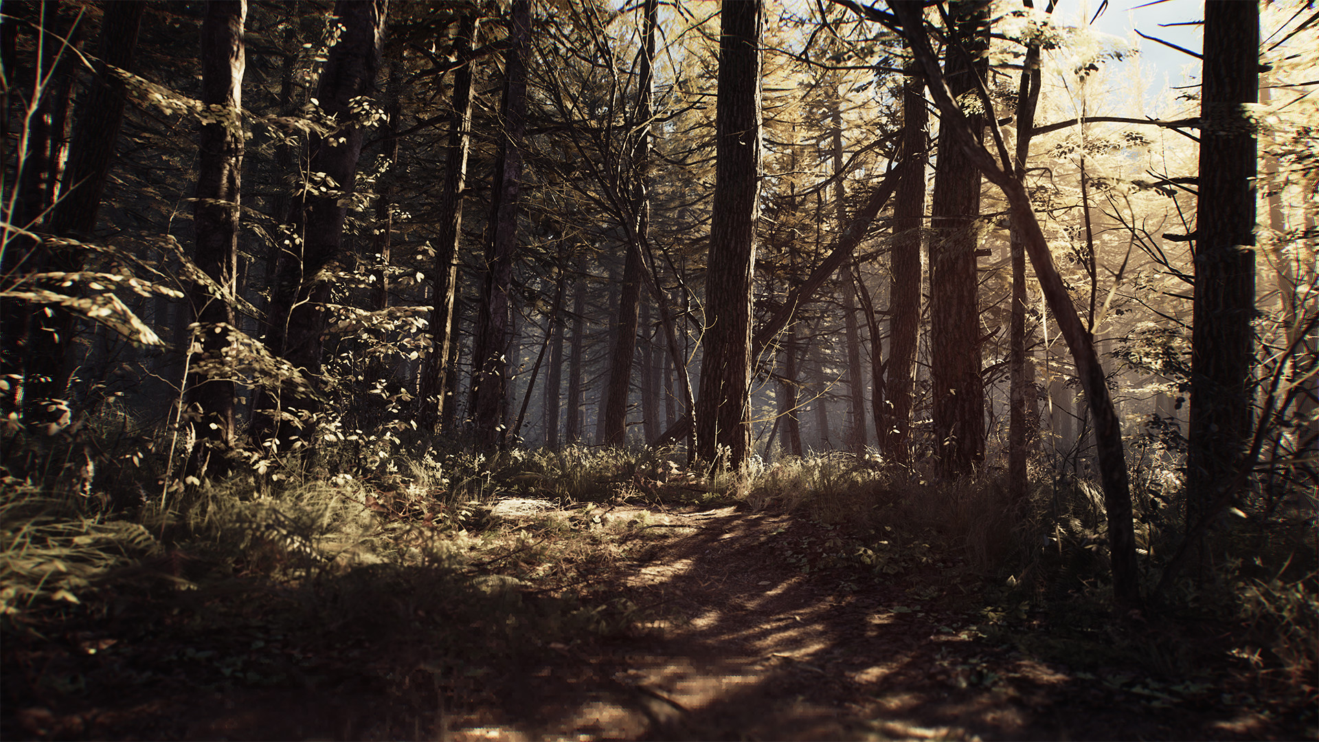 Blair Witch screenshot 4