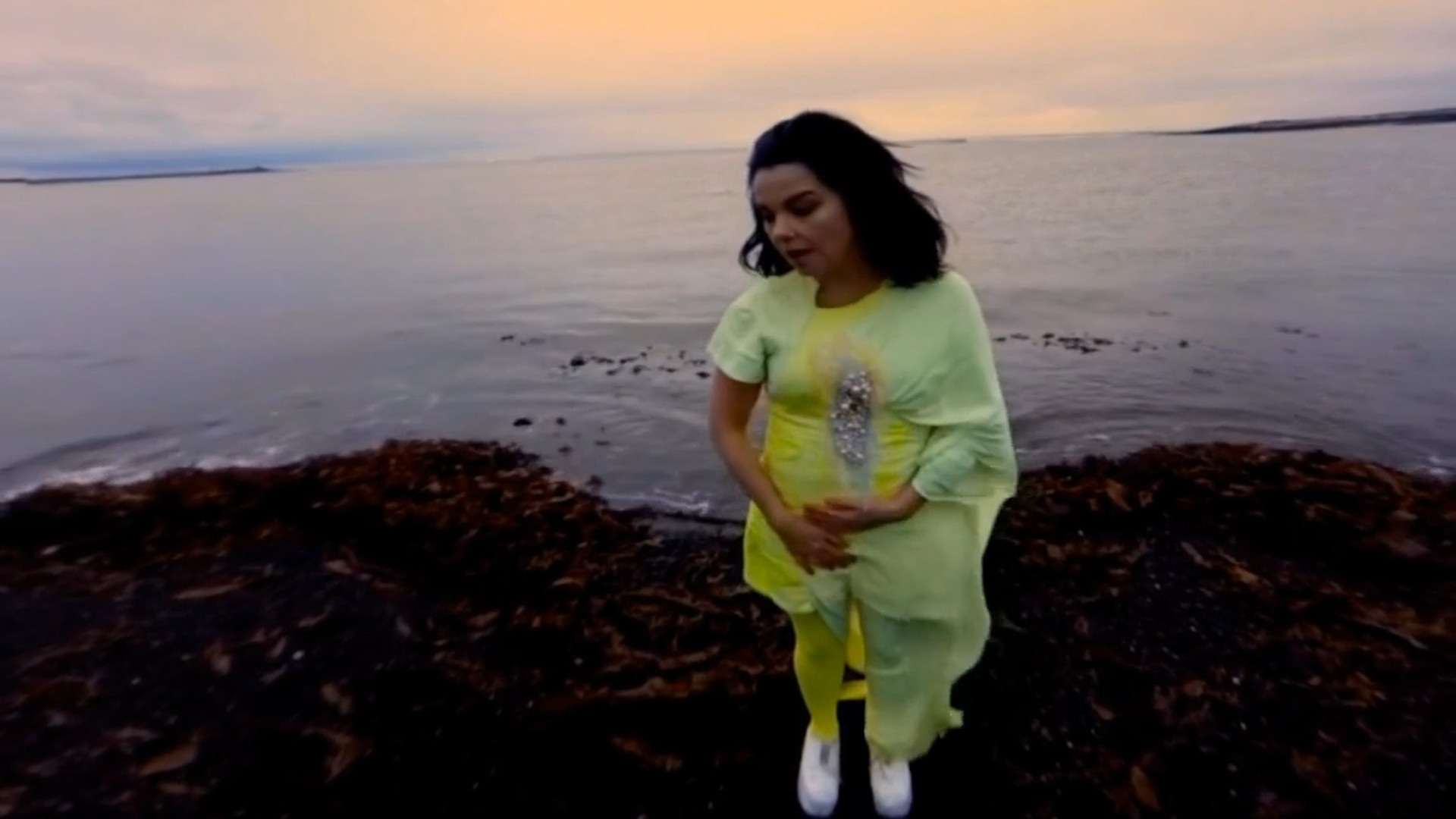 Björk Vulnicura Virtual Reality Album screenshot 1