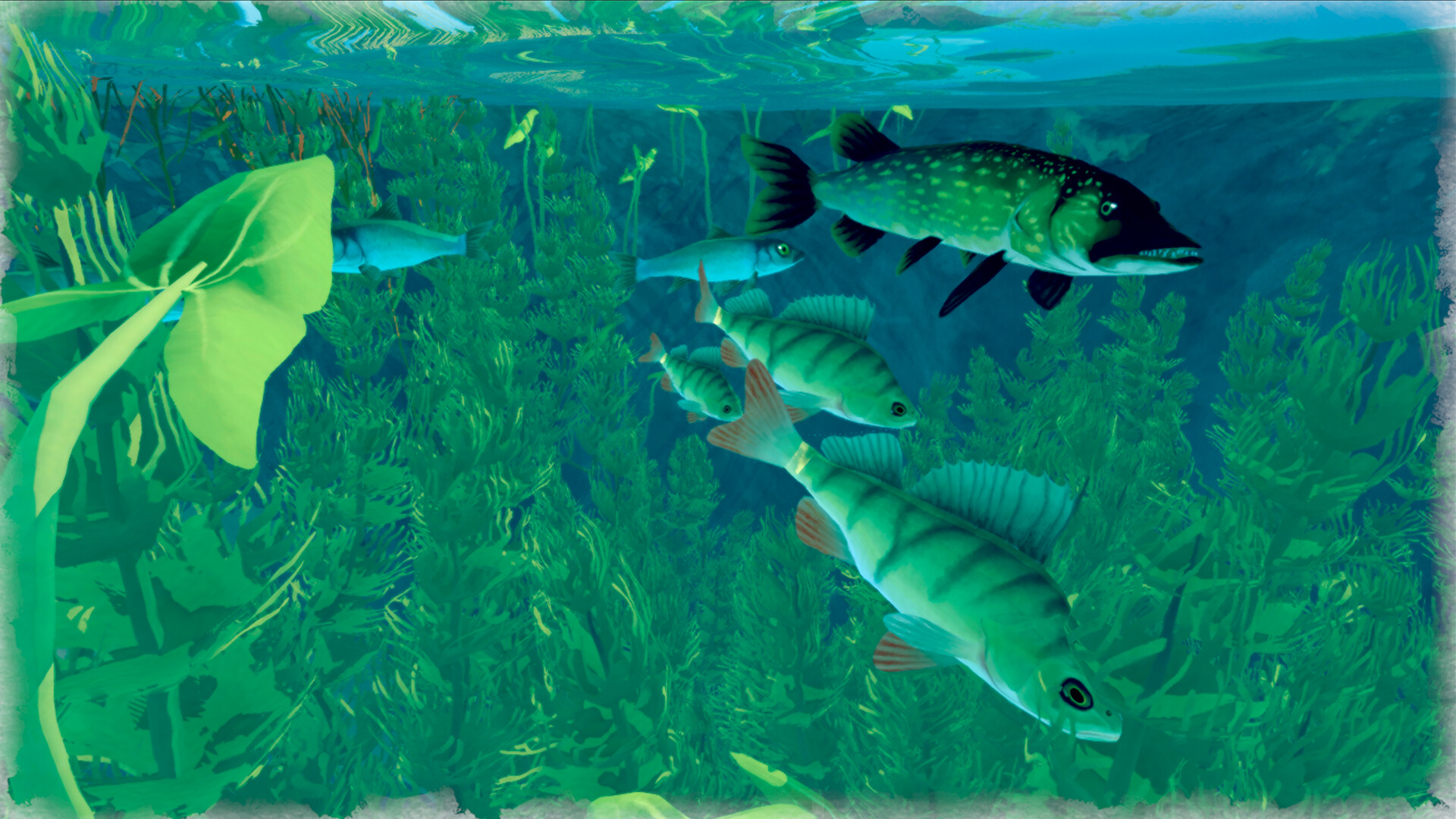 Among Ripples: Shallow Waters screenshot 1