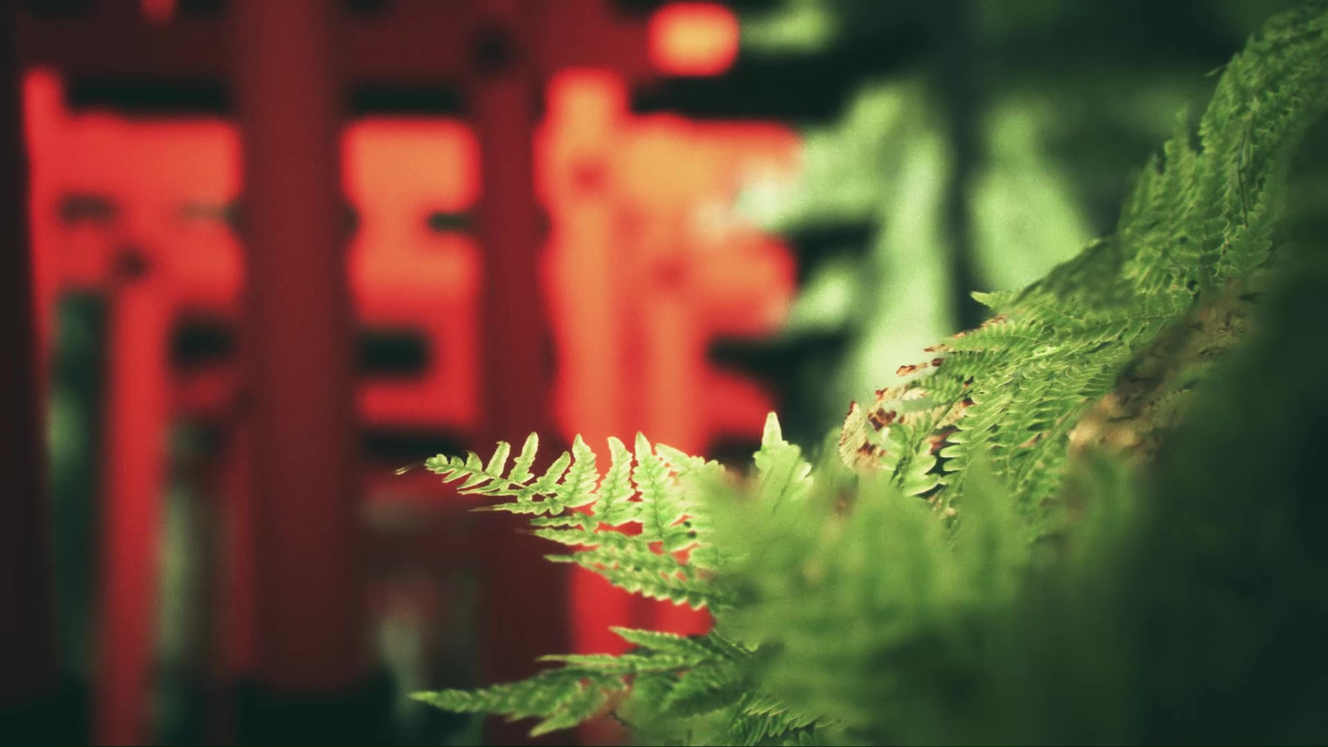 Explore Fushimi Inari screenshot 1