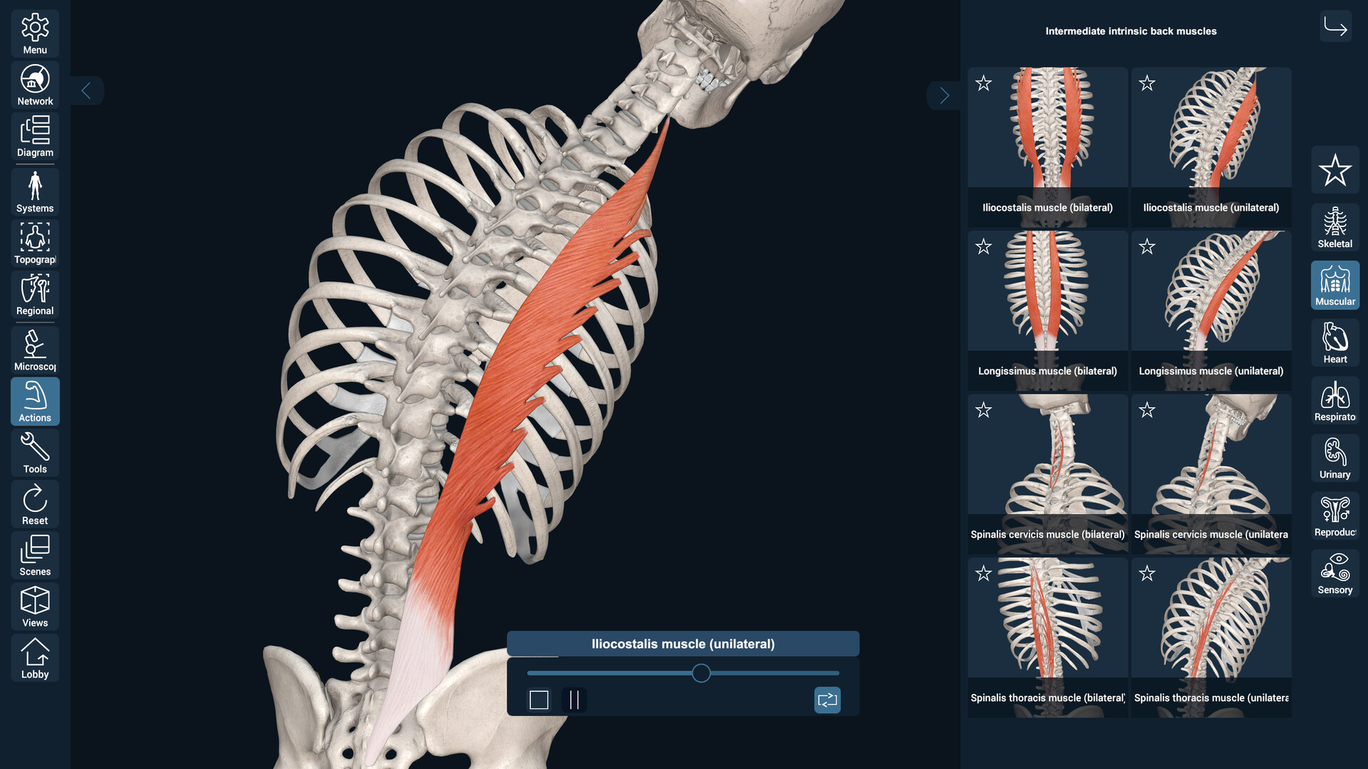 3D Organon screenshot 8