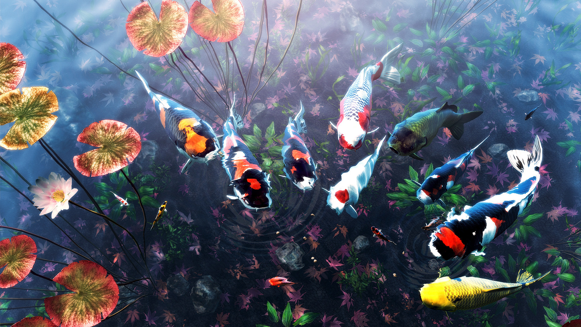 My Koi screenshot 4