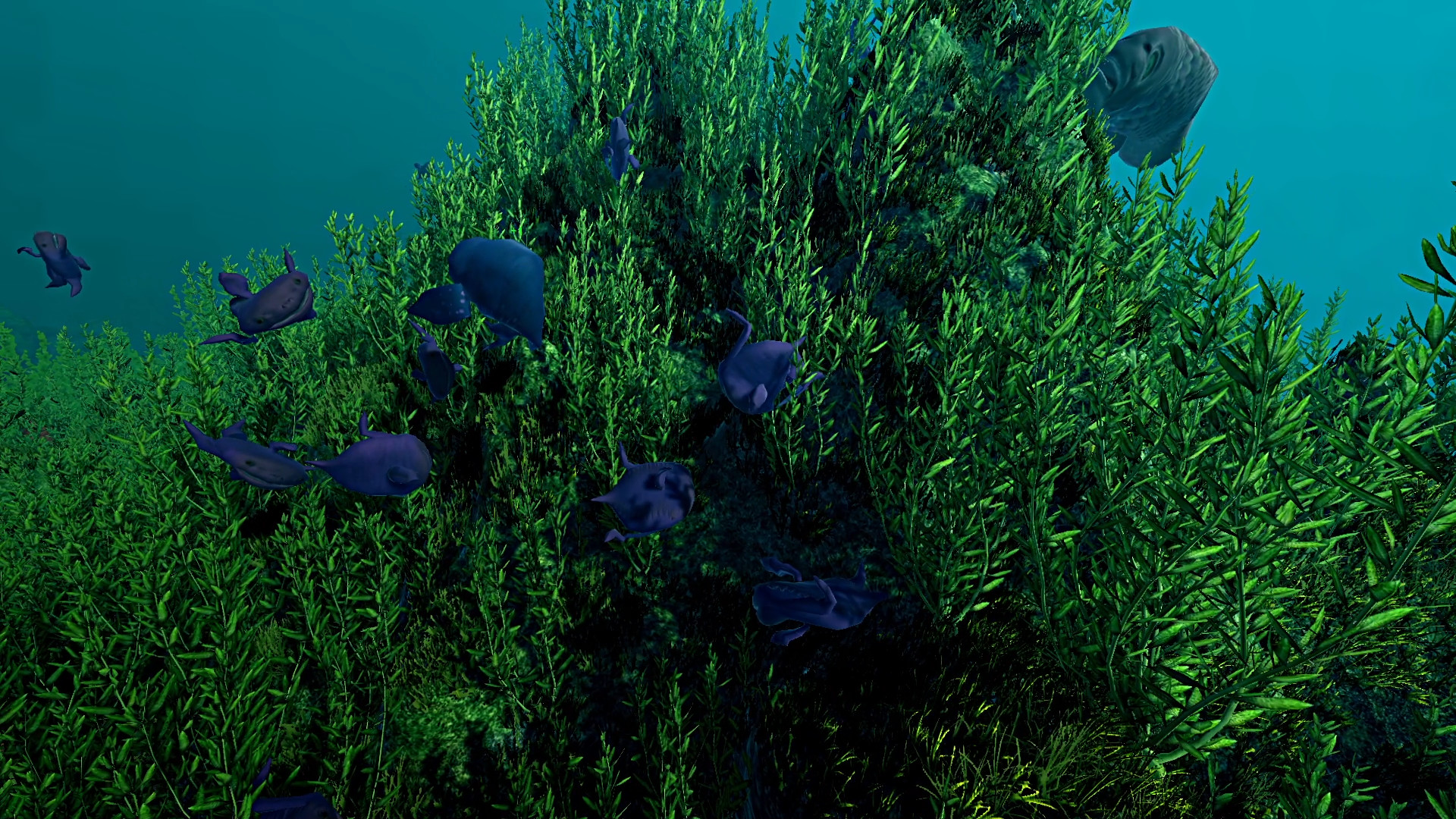 Ecosystem screenshot 4
