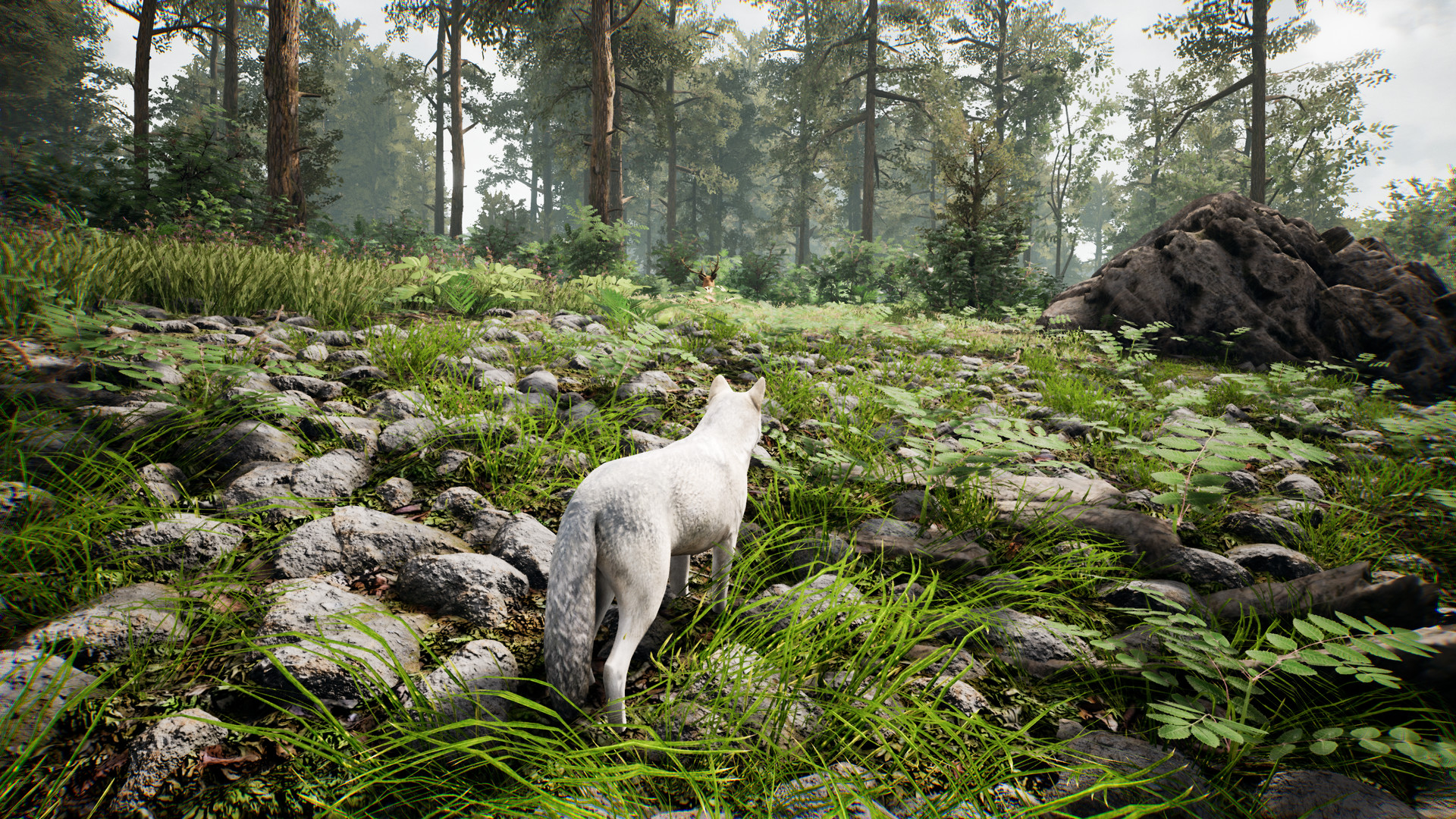 Spirit screenshot 3
