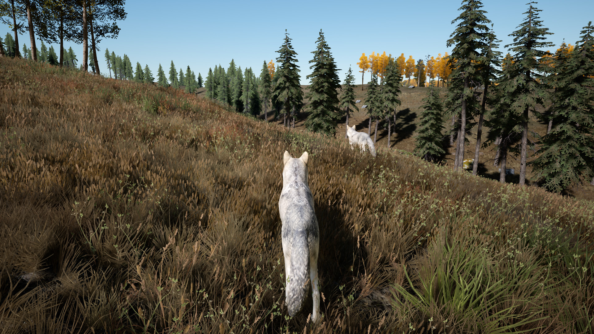 Spirit screenshot 2