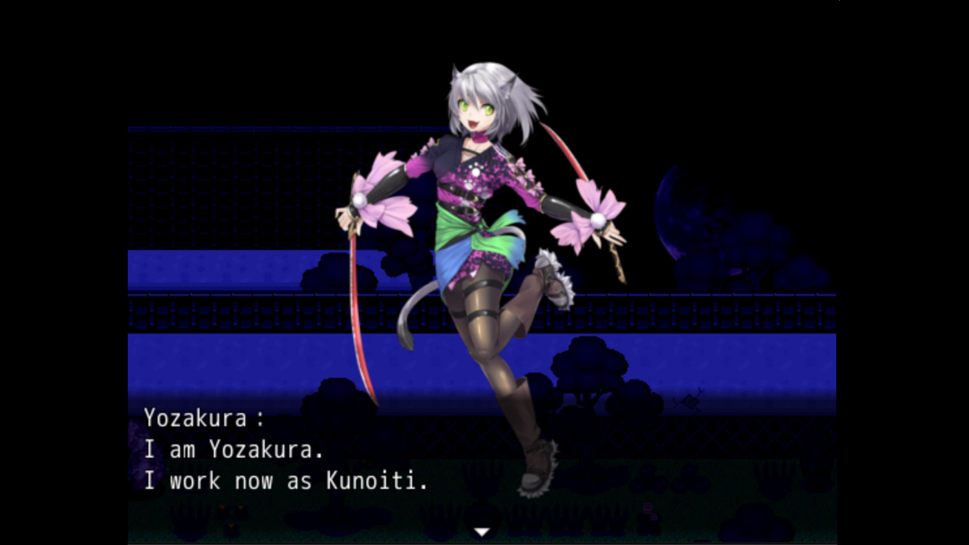 Kunoichi Ninja screenshot 2