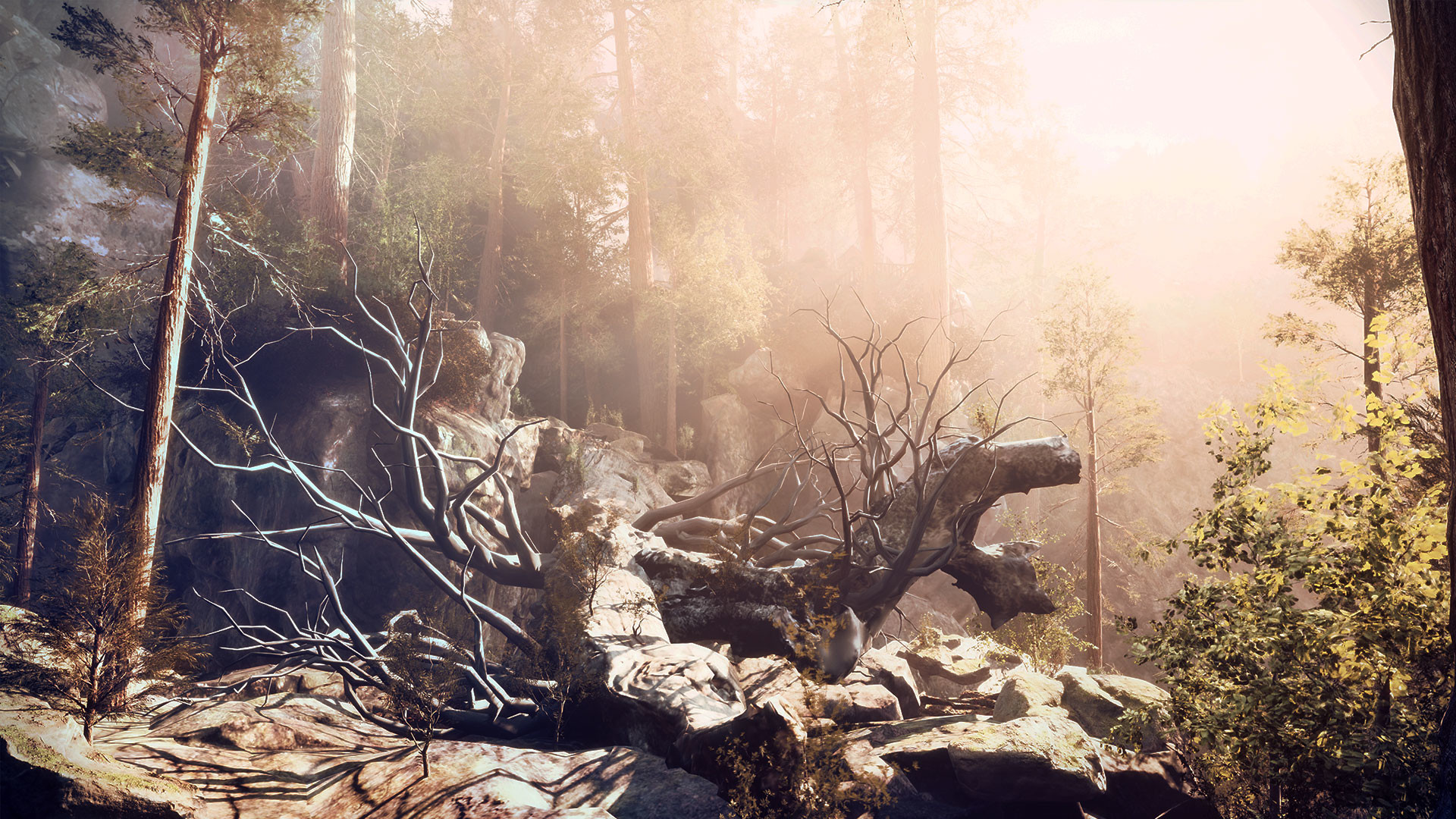 The House In The Hollow screenshot 2