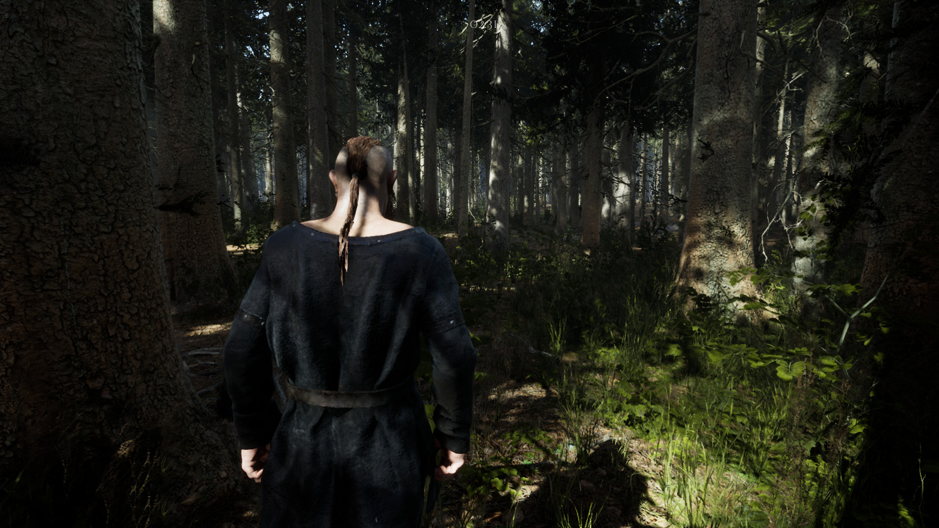 VALHALL Tests screenshot 5