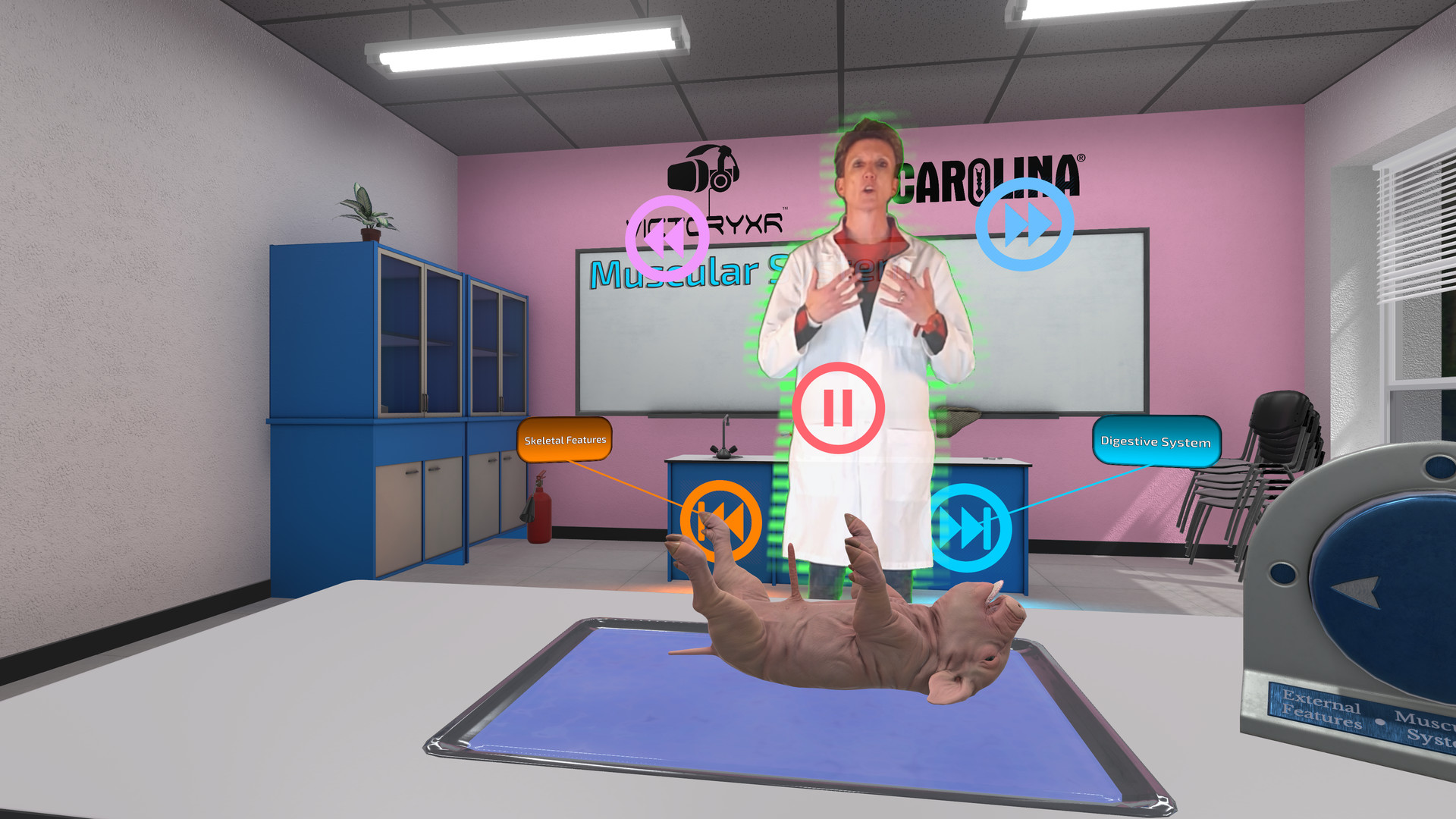 Dissection Simulator: Pig Edition screenshot 2