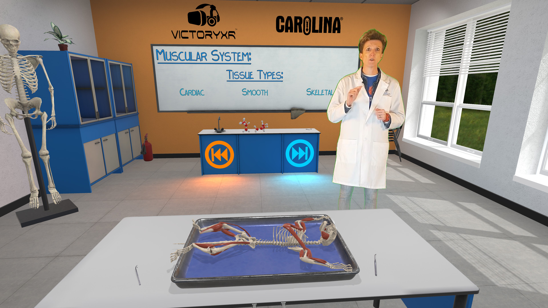 Dissection Simulator: Feline Edition screenshot 4