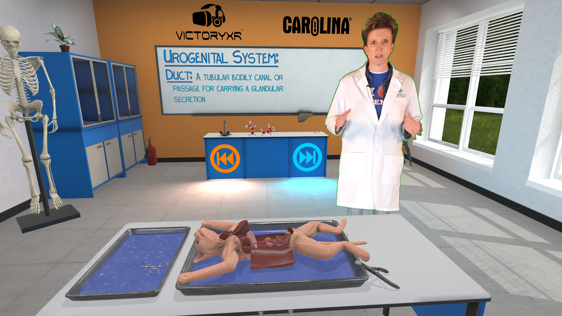 Dissection Simulator: Feline Edition screenshot 1