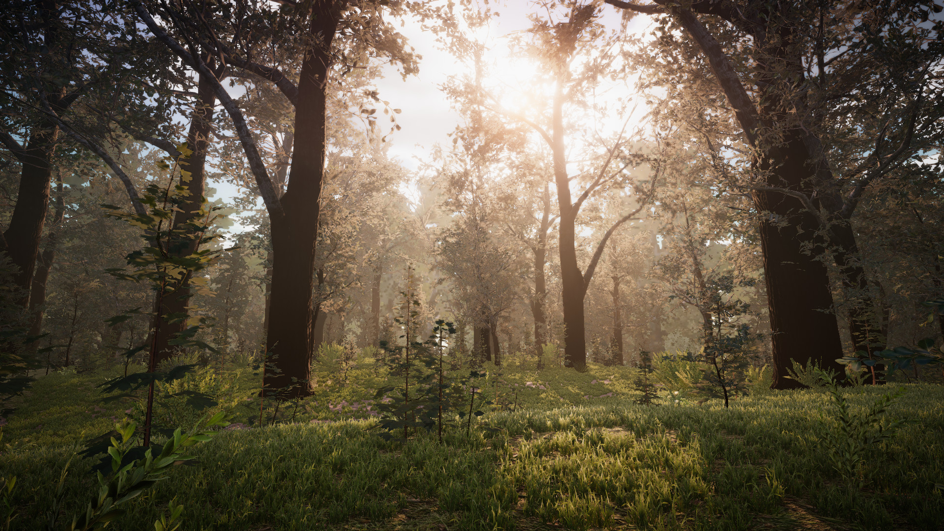 PROJECT D : Human Risen screenshot 18