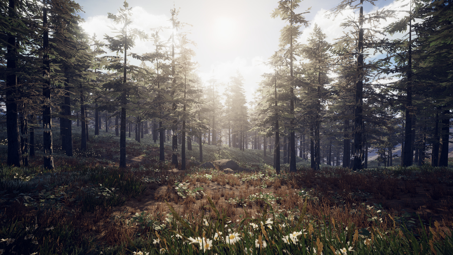 PROJECT D : Human Risen screenshot 4