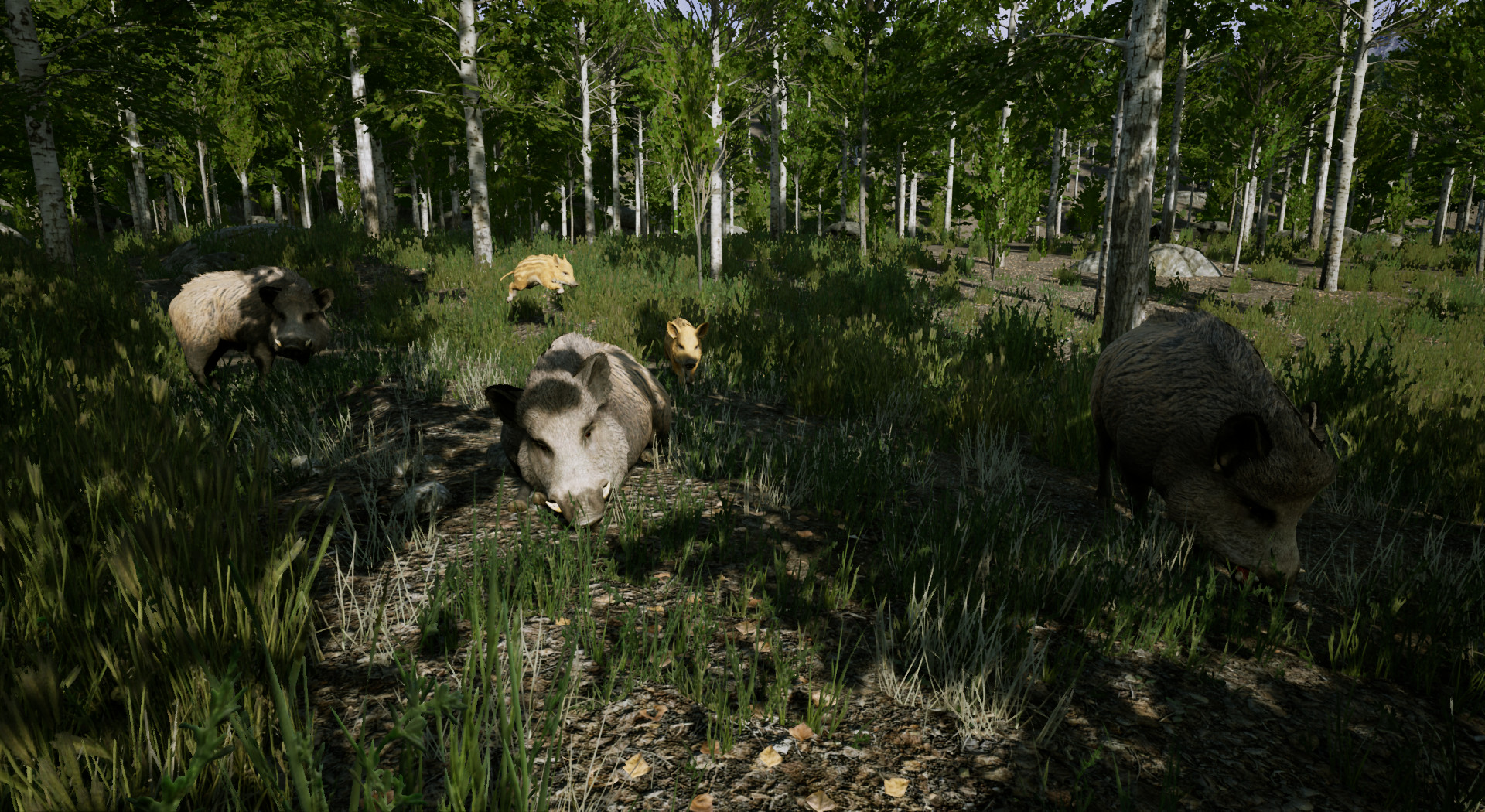 Territory screenshot 1