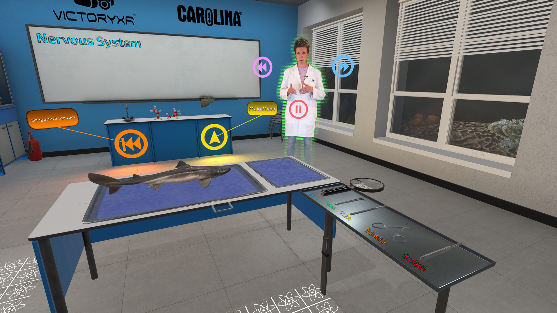 Dissection Simulator: Dogfish Edition screenshot 1