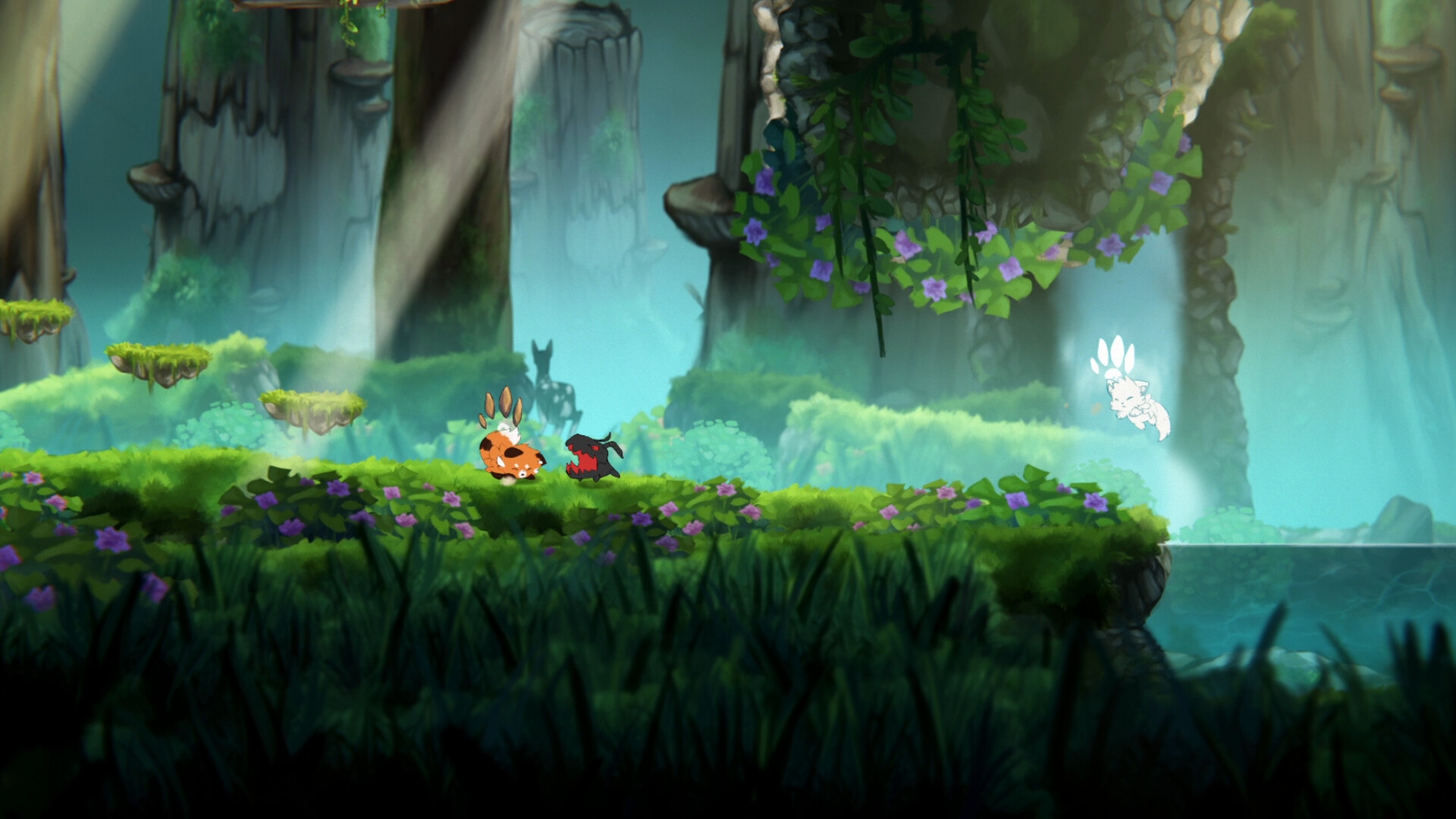 Ailuri screenshot 1