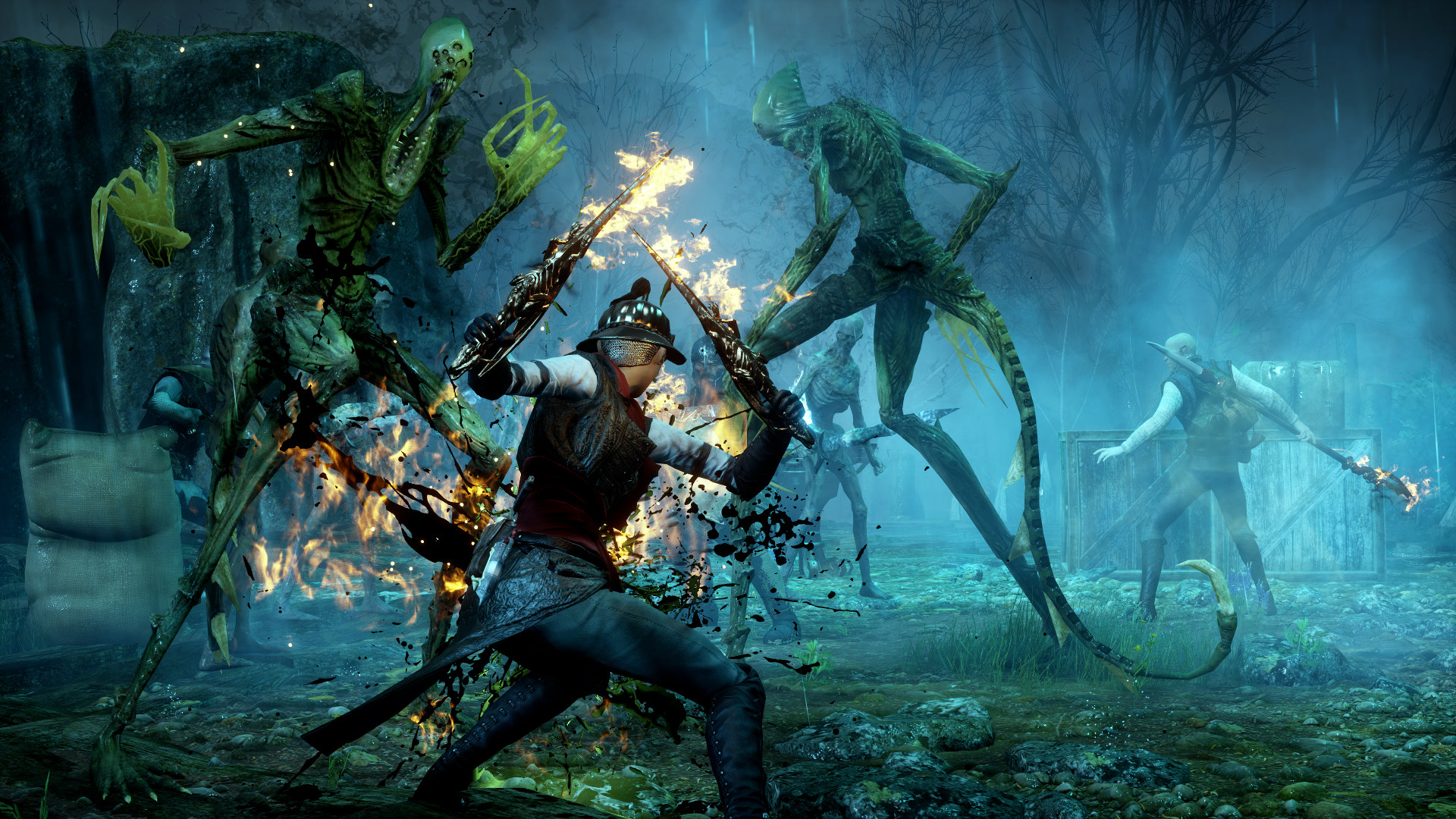 Dragon Age™ Inquisition screenshot 3