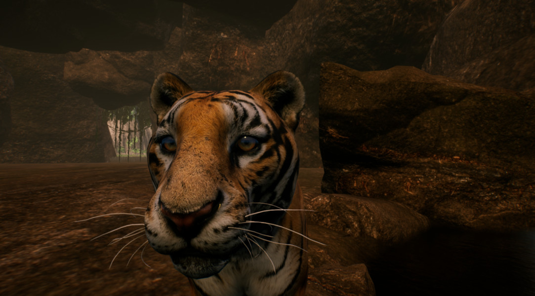 The Savana screenshot 6
