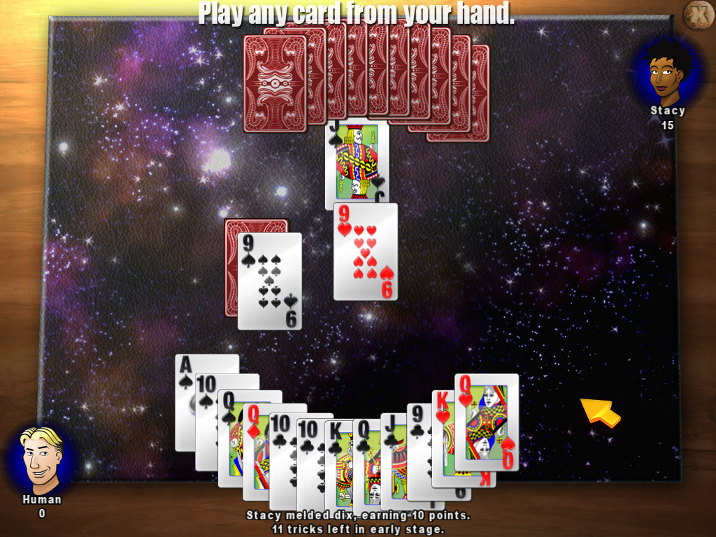 Classic Card Game Pinochle screenshot 5