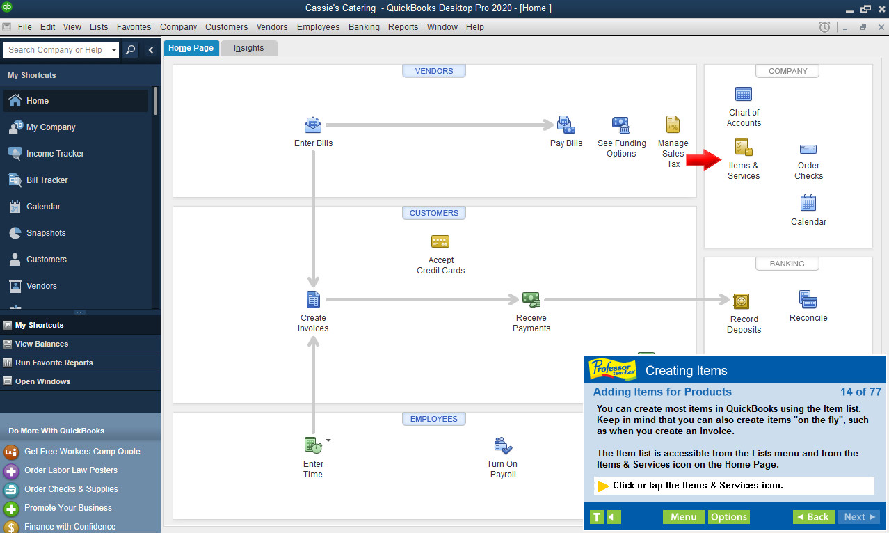 Professor Teaches QuickBooks 2020 screenshot 5