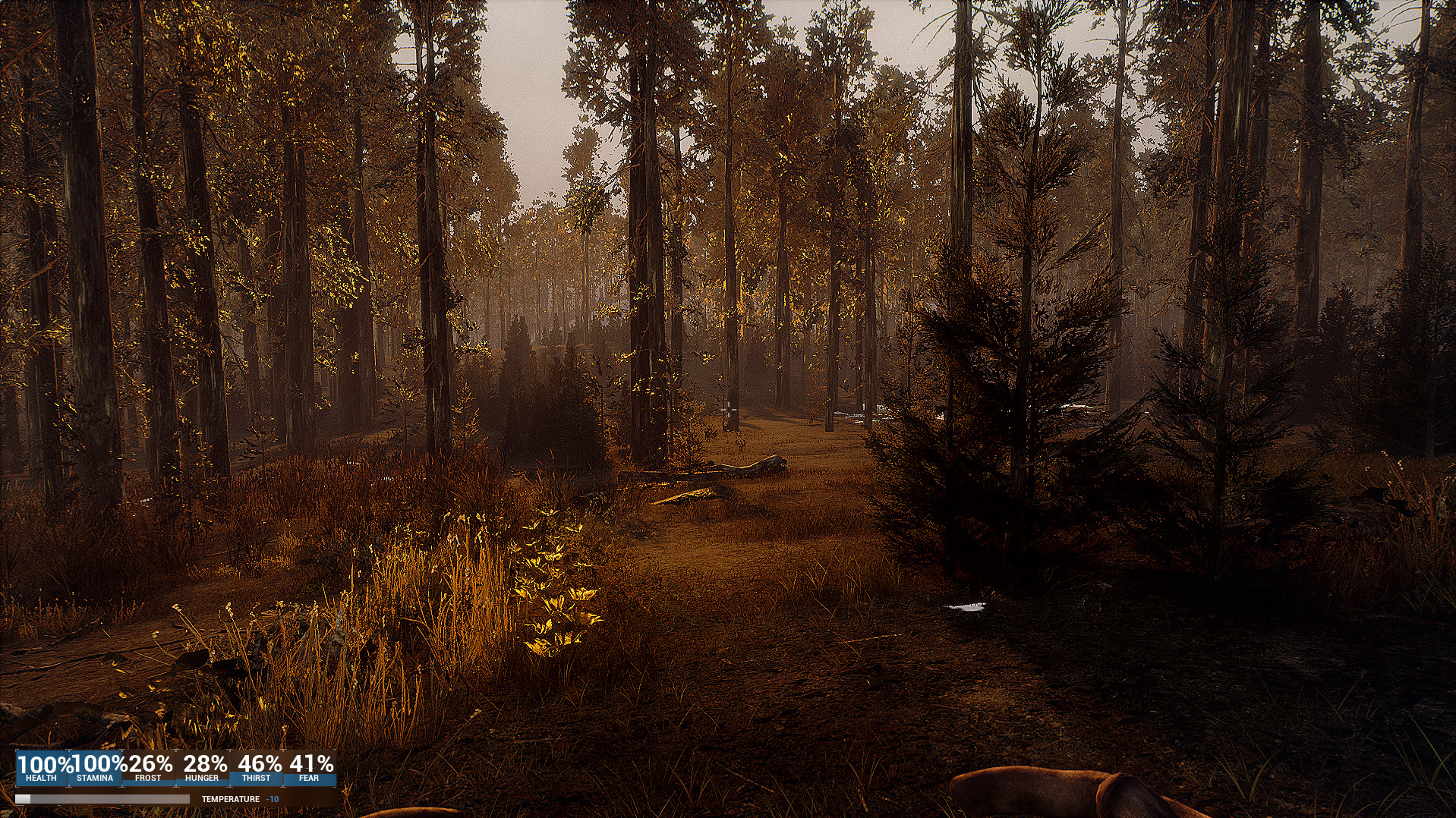 EDGE OF DAWN screenshot 13