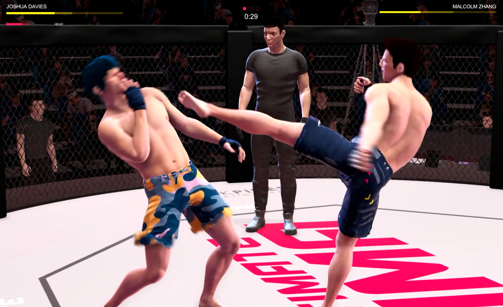 Ultimate MMA screenshot 1