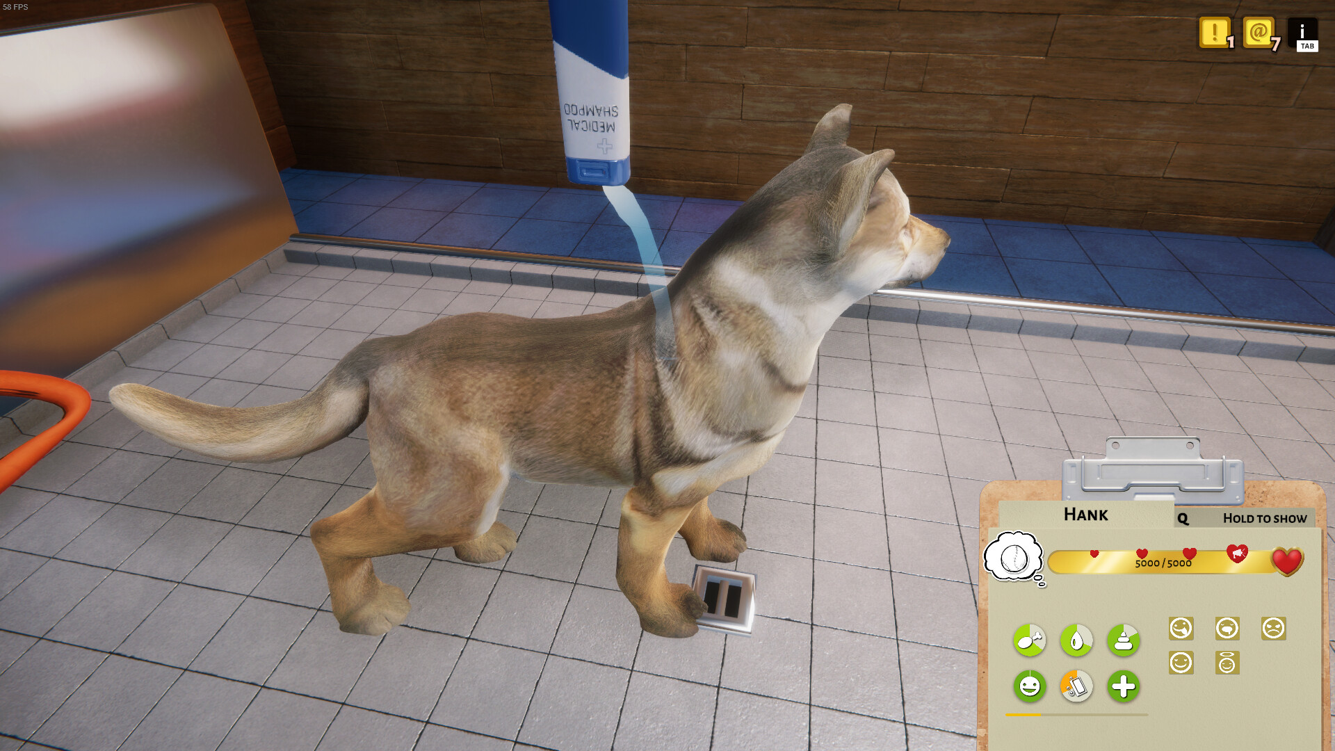 Animal Shelter screenshot 9