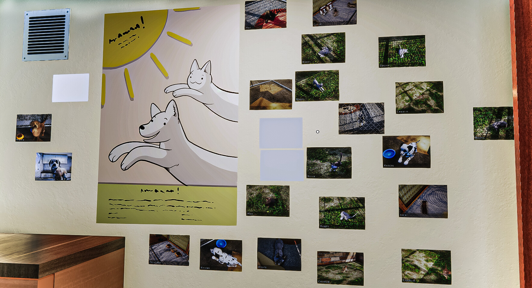 Animal Shelter screenshot 18