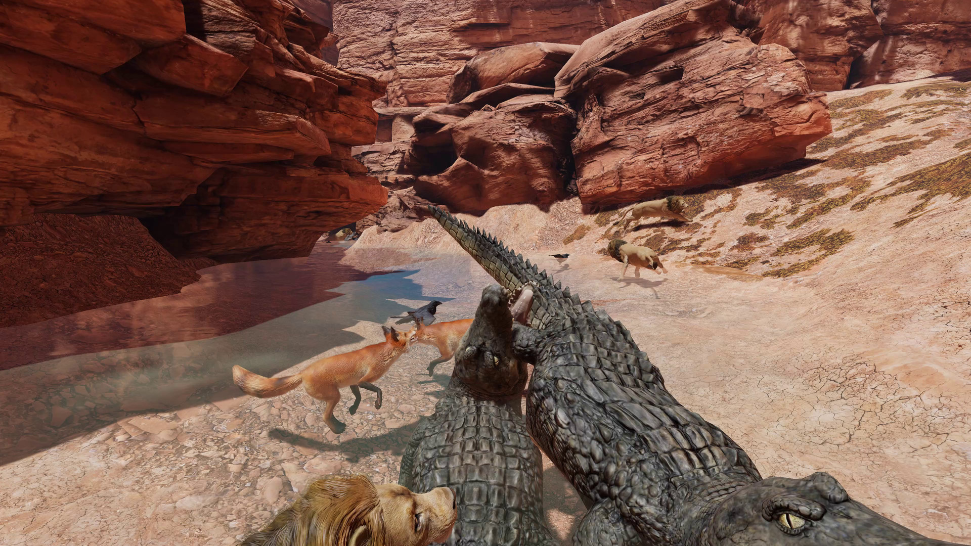 Food Chain screenshot 9
